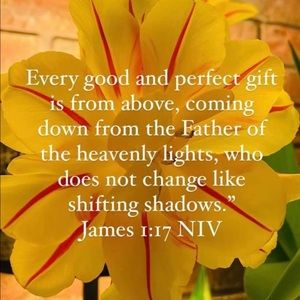 Meet your Posher, Silvana